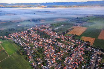 Vue aérienne de Vue du village avec la brume matinale du sud-est à Minfeld dans le département Rhénanie-Palatinat, Allemagne