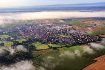 Photographie aérienne de Vue du village avec la brume matinale du sud-ouest à Rohrbach dans le département Rhénanie-Palatinat, Allemagne