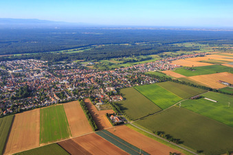 Vue aérienne de Vue de la ville depuis le nord de la Gutenbergstr à Kandel dans le département Rhénanie-Palatinat, Allemagne