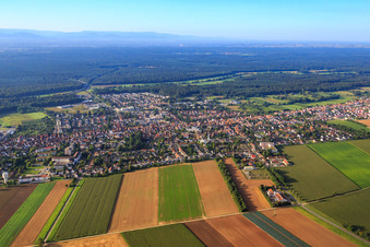 Vue aérienne de Vue de la ville depuis la Zeppelinstr nord à Kandel dans le département Rhénanie-Palatinat, Allemagne