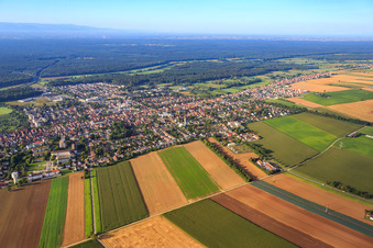 Vue aérienne de Vue d'ensemble de la ville depuis le nord à Kandel dans le département Rhénanie-Palatinat, Allemagne