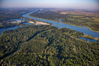 Vue aérienne de LSG Rheinknie Alter Kopfgrund à le quartier Grauelsbaum in Lichtenau dans le département Bade-Wurtemberg, Allemagne