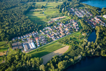 Vue aérienne de Zones riveraines du lac Rheinbaggersee à le quartier Grauelsbaum in Lichtenau dans le département Bade-Wurtemberg, Allemagne