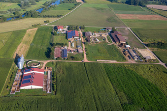 Vue aérienne de Domaine d'une ferme appartenant à Herbert Wollenbär à le quartier Ichenheim in Neuried dans le département Bade-Wurtemberg, Allemagne