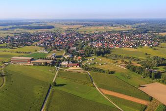 Vue aérienne de Vue du nord avec terra-bausysteme GmbH à Meißenheim dans le département Bade-Wurtemberg, Allemagne