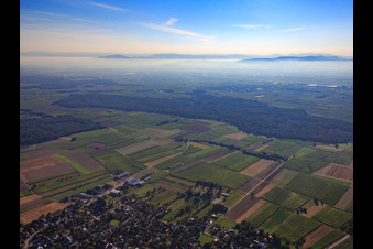 Vue aérienne de Vue sur la plaine du Rhin depuis l'ouest à le quartier Ottenheim in Schwanau dans le département Bade-Wurtemberg, Allemagne