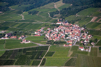 Vue aérienne de Champs agricoles et terres agricoles à Dieffenthal dans le département Bas Rhin, France
