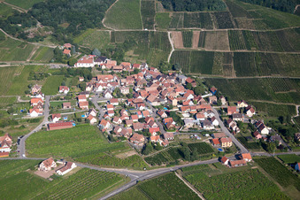 Photographie aérienne de Champs agricoles et terres agricoles à Dieffenthal dans le département Bas Rhin, France