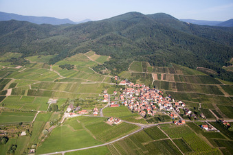 Vue oblique de Champs agricoles et terres agricoles à Dieffenthal dans le département Bas Rhin, France