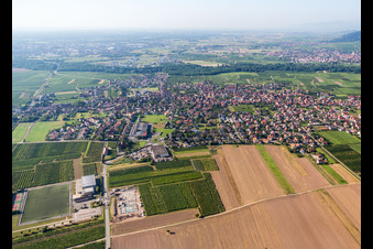Vue aérienne de Vue des rues et des maisons dans les quartiers résidentiels à Scherwiller dans le département Bas Rhin, France