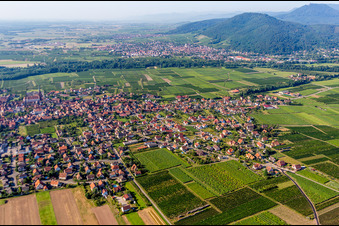 Vue aérienne de Vue des rues et des maisons dans les quartiers résidentiels à Scherwiller dans le département Bas Rhin, France