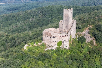 Vue aérienne de Ruines et vestiges des murs de l'ancien château et forteresse de Ramstein à Scherwiller dans le département Bas Rhin, France