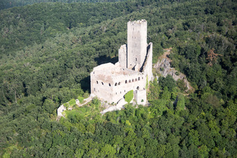 Photographie aérienne de L'Ortenbourg à Scherwiller dans le département Bas Rhin, France