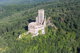 Vue aérienne de Ruines et vestiges des murs de l'ancien château et forteresse de Ramstein à Scherwiller dans le département Bas Rhin, France