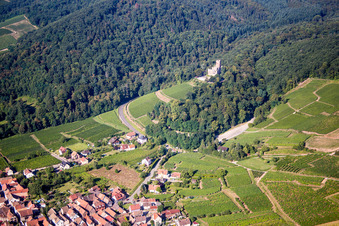 Vue aérienne de Complexe du Château de Kintzheim à Kintzheim dans le département Bas Rhin, France