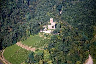 Vue aérienne de Complexe du Château de Kintzheim à Kintzheim dans le département Bas Rhin, France