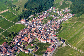 Vue aérienne de Champs agricoles et terres agricoles à Orschwiller dans le département Bas Rhin, France