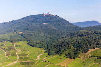 Vue aérienne de Complexe du château de Veste Hohkönigsburg à Orschwiller dans le département Bas Rhin, France