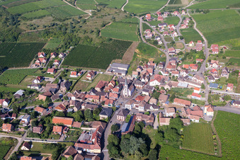 Vue aérienne de Champs agricoles et terres agricoles à Rorschwihr dans le département Haut-Rhin, France