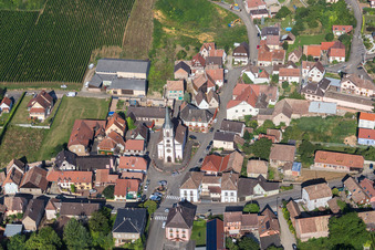 Photographie aérienne de Champs agricoles et terres agricoles à Rorschwihr dans le département Haut-Rhin, France