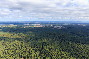 Vue aérienne de Bienwald devant le quartier Dorschberg vu du nord à Wörth am Rhein dans le département Rhénanie-Palatinat, Allemagne
