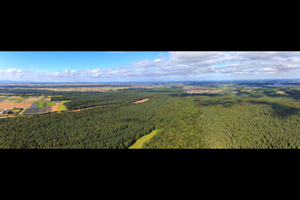 Vue aérienne de Panorama d'une clairière d'Otterbach dans la forêt de Bienwald en direction de Jockgrim à Kandel dans le département Rhénanie-Palatinat, Allemagne