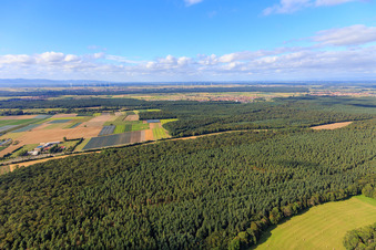 Vue aérienne de Adamshof vu du sud à Kandel dans le département Rhénanie-Palatinat, Allemagne