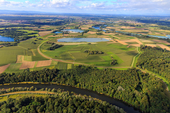 Vue aérienne de Polder dans les prairies du Rhin à Jockgrim dans le département Rhénanie-Palatinat, Allemagne