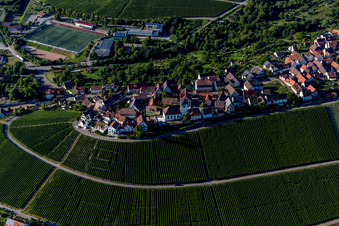 Vue oblique de Village viticole sur vignoble à Hohenhaslach à le quartier Hohenhaslach in Sachsenheim dans le département Bade-Wurtemberg, Allemagne