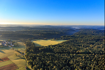 Vue aérienne de Défrichement forestier à le quartier Winzenweiler in Gaildorf dans le département Bade-Wurtemberg, Allemagne