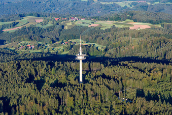 Vue aérienne de Tour de télécommunication dans la forêt à le quartier Grab in Großerlach dans le département Bade-Wurtemberg, Allemagne