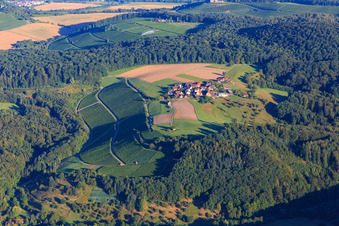 Vue aérienne de Quartier de Gagernberg au-dessus des coteaux de vignobles à le quartier Jettenbach in Beilstein dans le département Bade-Wurtemberg, Allemagne