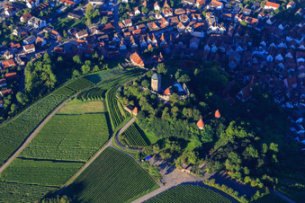 Photographie aérienne de Fauconnerie du château de Hohenbeilstein à Beilstein dans le département Bade-Wurtemberg, Allemagne