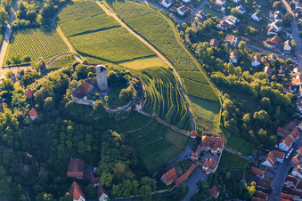 Vue aérienne de Fauconnerie au château de Hohenbeilstein sur les terrasses des vignobles et la vieille ville à Beilstein dans le département Bade-Wurtemberg, Allemagne