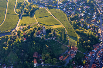 Vue aérienne de Fauconnerie au château de Hohenbeilstein sur les terrasses des vignobles et la vieille ville à Beilstein dans le département Bade-Wurtemberg, Allemagne