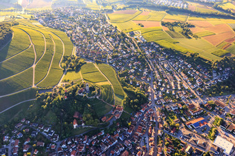 Photographie aérienne de Fauconnerie au château de Hohenbeilstein sur les terrasses des vignobles et la vieille ville à Beilstein dans le département Bade-Wurtemberg, Allemagne