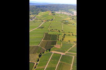 Vue aérienne de Vignobles à Bönnigheim dans le département Bade-Wurtemberg, Allemagne