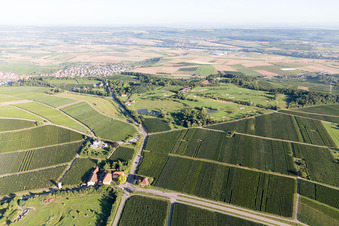 Vue aérienne de Terrain de golf à le quartier Treffentrill in Cleebronn dans le département Bade-Wurtemberg, Allemagne