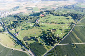 Vue aérienne de Golf à le quartier Treffentrill in Cleebronn dans le département Bade-Wurtemberg, Allemagne