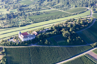 Vue aérienne de Complexe du château du Schlossgut Neumagenheim à le quartier Treffentrill in Cleebronn dans le département Bade-Wurtemberg, Allemagne