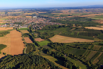 Vue aérienne de Vignobles du Kraichgau à Sulzfeld dans le département Bade-Wurtemberg, Allemagne
