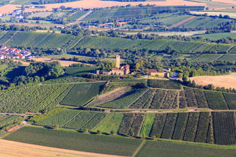 Vue aérienne de Château de Ravensburg (Sulzfeld) le matin sur une colline avec des vignes à Sulzfeld dans le département Bade-Wurtemberg, Allemagne