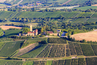 Vue aérienne de Château de Ravensburg (Sulzfeld) le matin sur une colline avec des vignes à Sulzfeld dans le département Bade-Wurtemberg, Allemagne