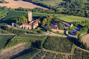 Photographie aérienne de Château de Ravensburg (Sulzfeld) le matin sur une colline avec des vignes à Sulzfeld dans le département Bade-Wurtemberg, Allemagne