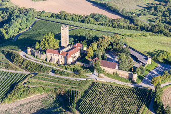 Vue aérienne de Forteresse de Ravensbourg avec restaurant-château sur une colline avec des vignobles à Sulzfeld dans le département Bade-Wurtemberg, Allemagne