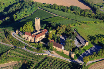 Château de Ravensburg (Sulzfeld) le matin sur une colline avec des vignes à Sulzfeld dans le département Bade-Wurtemberg, Allemagne d'en haut