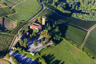 Château de Ravensburg (Sulzfeld) le matin sur une colline avec des vignes à Sulzfeld dans le département Bade-Wurtemberg, Allemagne hors des airs