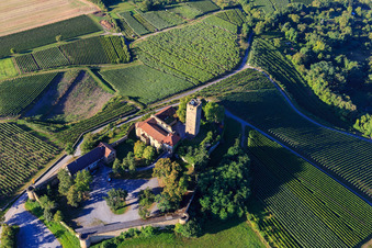 Château de Ravensburg (Sulzfeld) le matin sur une colline avec des vignes à Sulzfeld dans le département Bade-Wurtemberg, Allemagne vue d'en haut