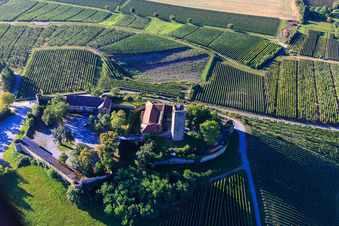 Château de Ravensburg (Sulzfeld) le matin sur une colline avec des vignes à Sulzfeld dans le département Bade-Wurtemberg, Allemagne depuis l'avion