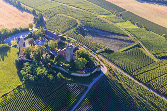 Vue d'oiseau de Château de Ravensburg (Sulzfeld) le matin sur une colline avec des vignes à Sulzfeld dans le département Bade-Wurtemberg, Allemagne